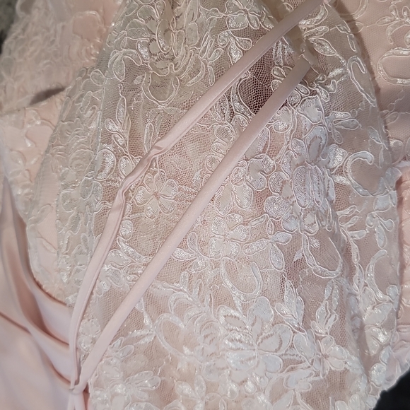 NWT Caterina Collection Pink Lace Jordan Formal Gown Size 8 - Picture 4 of 6
